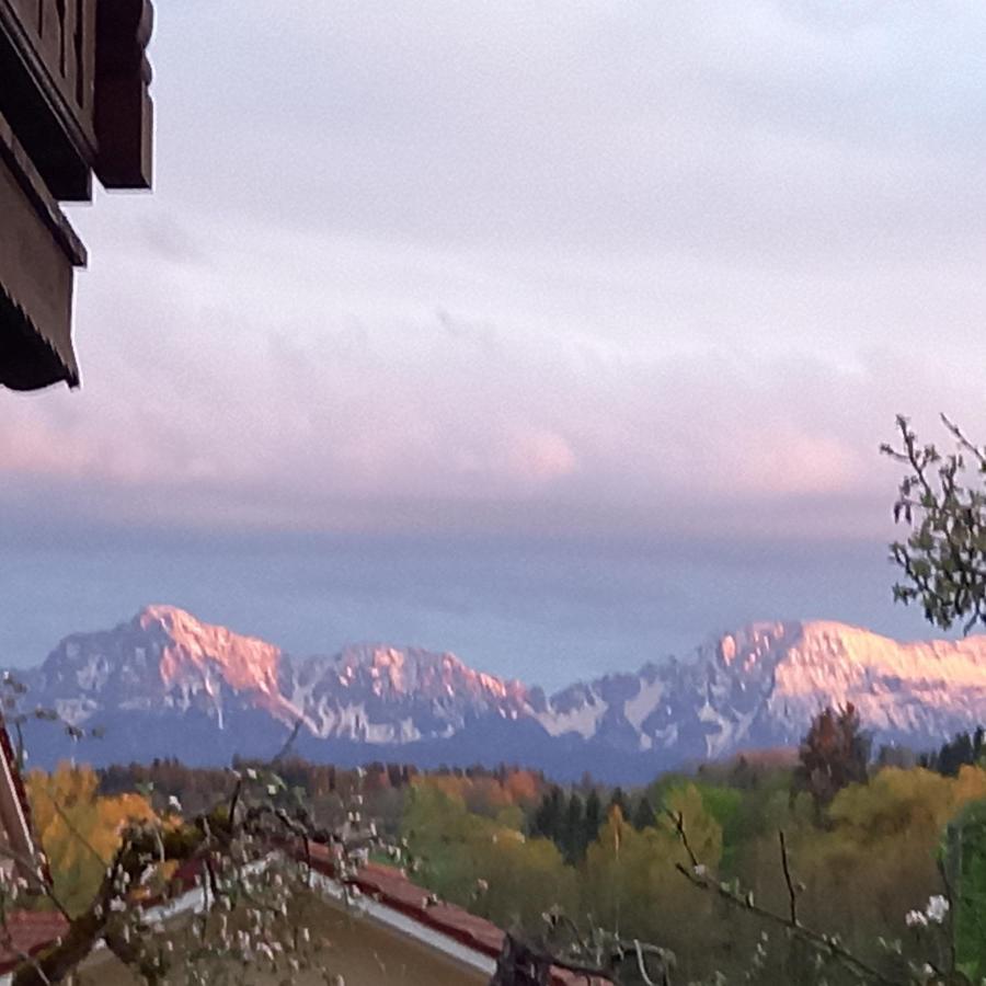 Landhof Ella - Ferienhaus Vor Den Toren Salzburgs Petting Exteriör bild