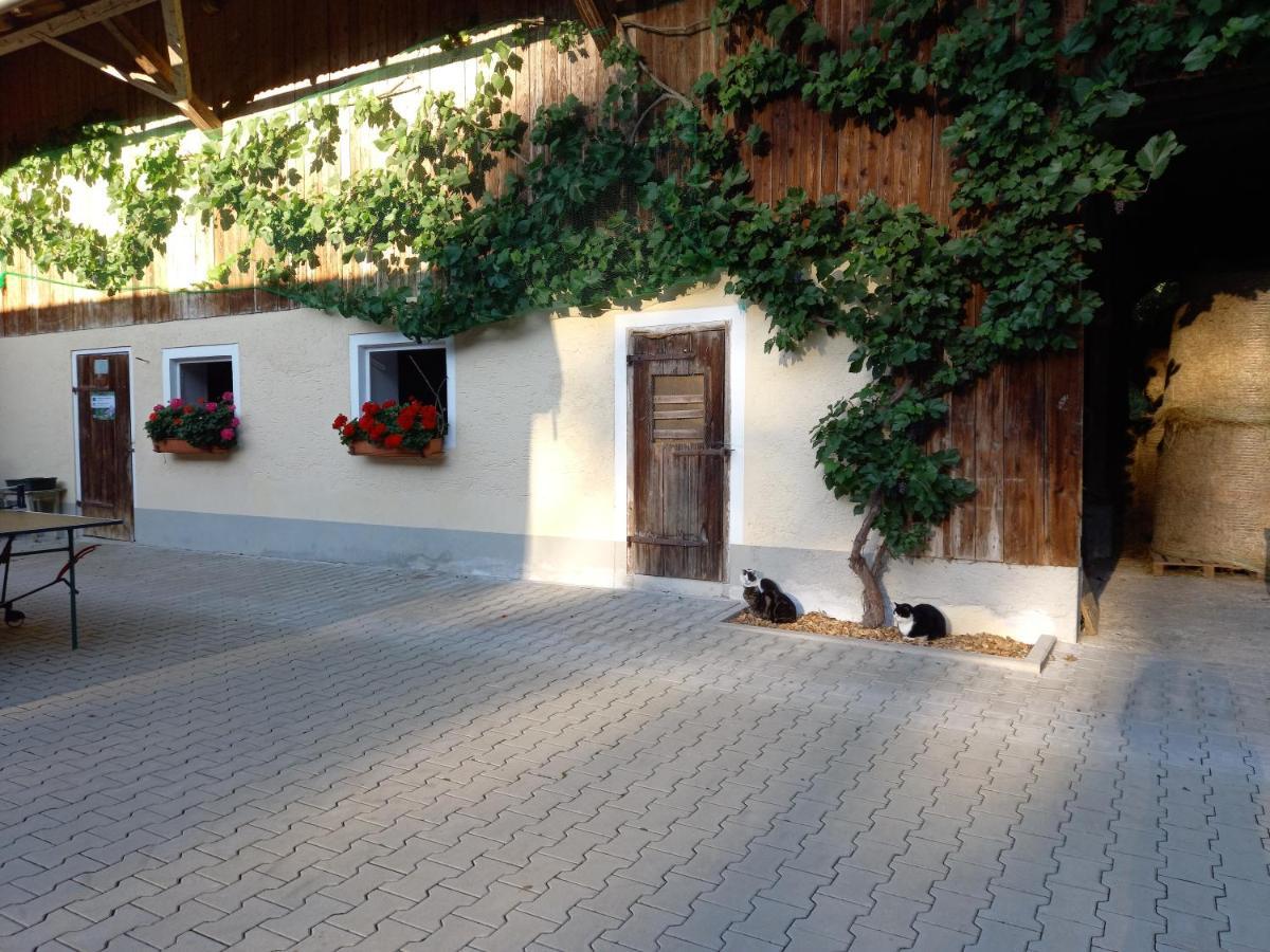 Landhof Ella - Ferienhaus Vor Den Toren Salzburgs Petting Exteriör bild