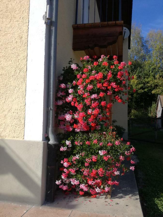 Landhof Ella - Ferienhaus Vor Den Toren Salzburgs Petting Exteriör bild