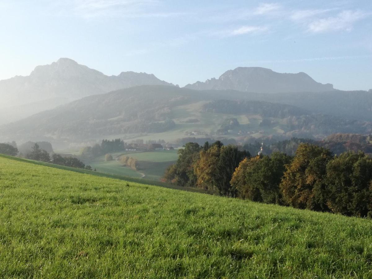 Landhof Ella - Ferienhaus Vor Den Toren Salzburgs Petting Exteriör bild